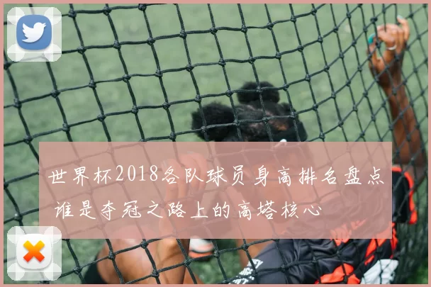 世界杯2018各队球员身高排名盘点 谁是夺冠之路上的高塔核心