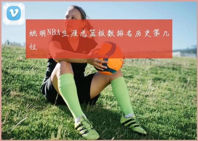 姚明NBA生涯总篮板数排名历史第几位