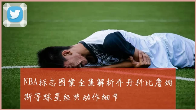 NBA标志图案全集解析乔丹科比詹姆斯等球星经典动作细节